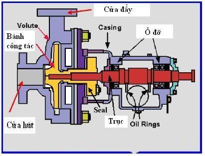 CẤU TẠO VÀ NGUYÊN LÝ HOẠT ĐỘNG CỦA MÁY BƠM NƯỚC